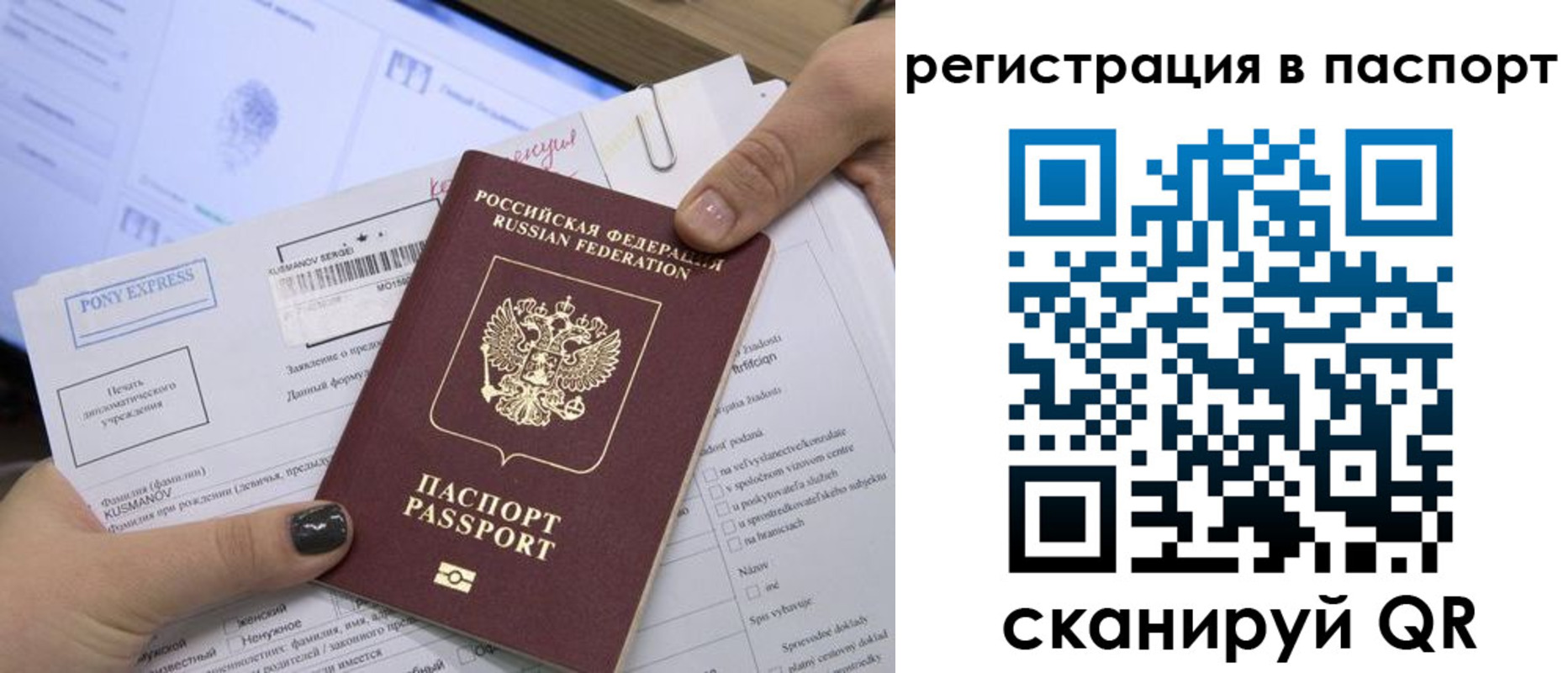 прописка паспорт в Белёве